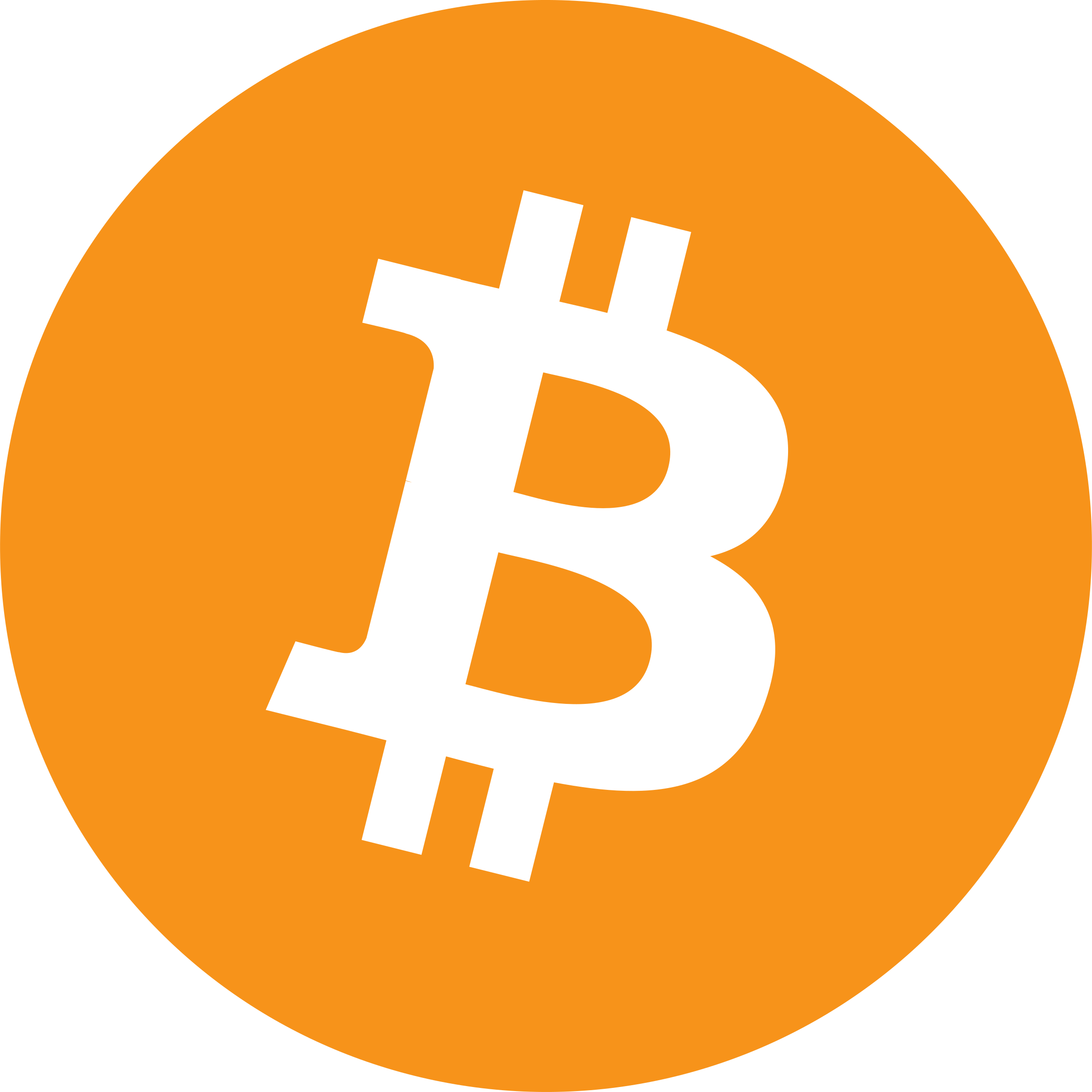Bitcoin cryptocurrency payment