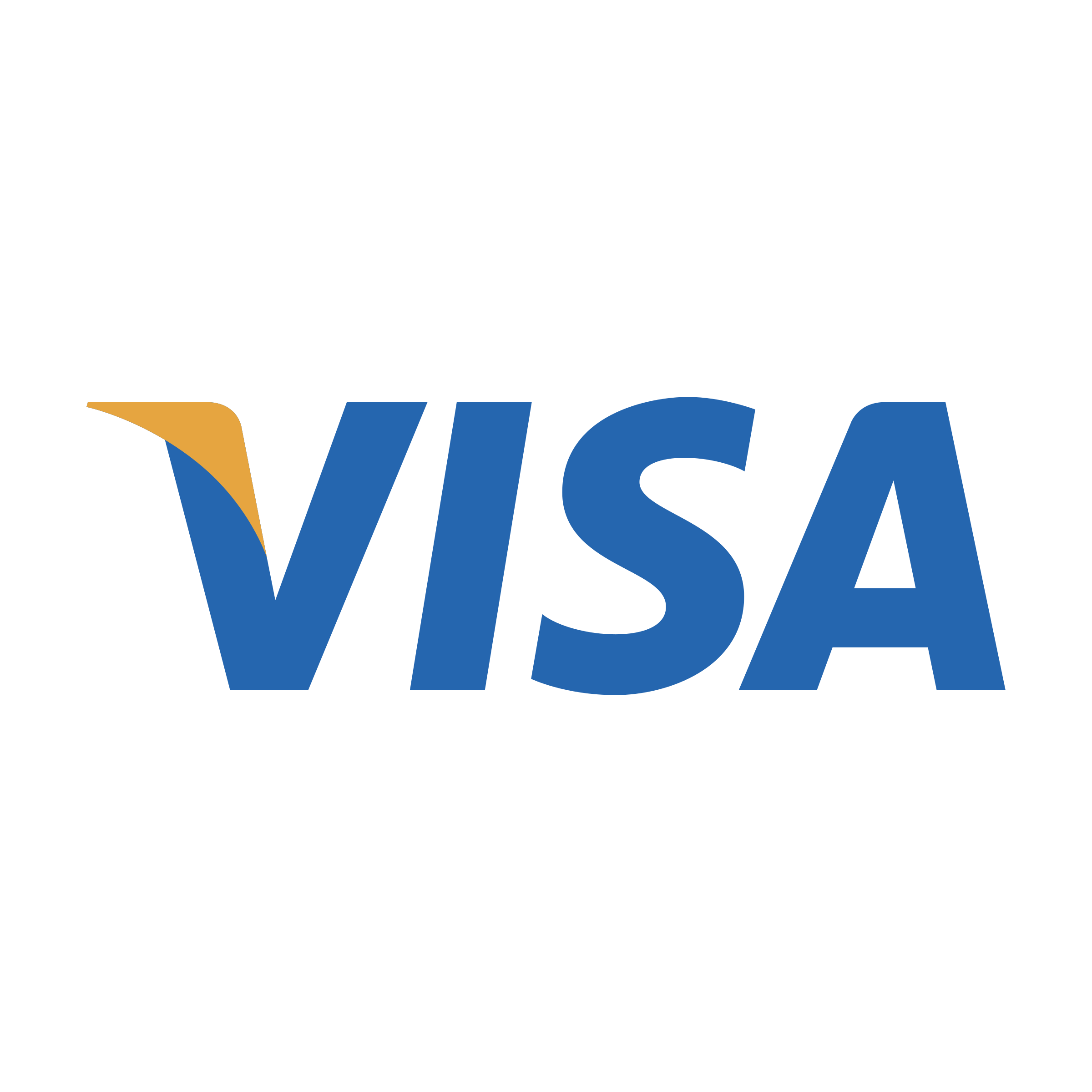 Visa payment method